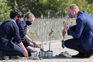Prince William Plants A Tree As He Begins His Visit In Dubai
