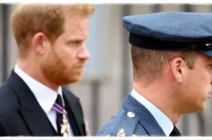 Prince William And Prince Harry Walk Together In Procession