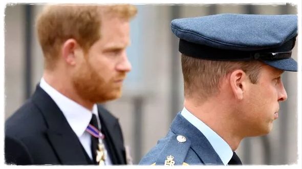 Prince William And Prince Harry Walk Together In Procession
