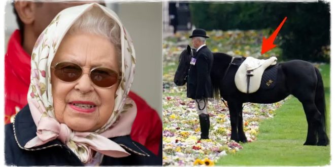The Queen's Favourite Scarf Appeared During Her State Funeral