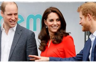 Princess Kate Has Master Plan To Unite Prince William And Prince Harry