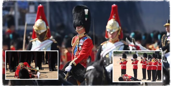 Prince William Shares Emotional Message After At Least Three Soldiers Collapsed During Final Trooping The Colour Rehearsal