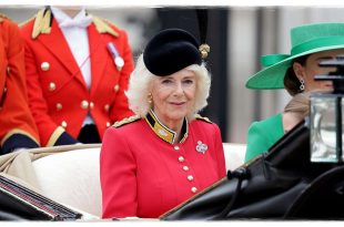Fans Go Wild For Queen Camilla's Military-Inspired Red Dress