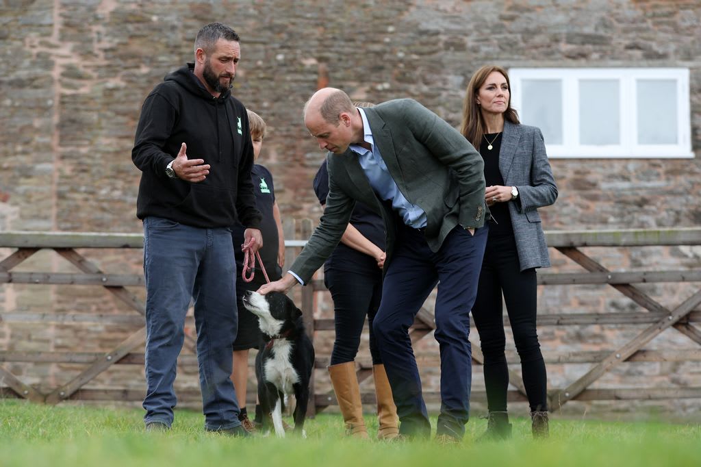 Prince William petting dog