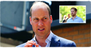 Prince William's Response After A Royal Fan Asks Him About Harry's Birthday