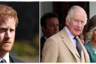 Prince Harry Requested To See King Charles Alone As He 'Refused To Be In Room With Camilla'