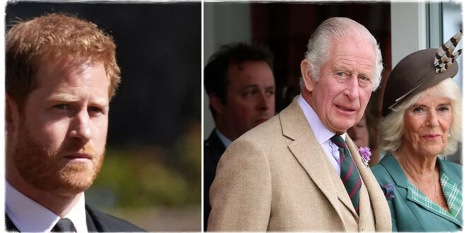 Prince Harry Requested To See King Charles Alone As He 'Refused To Be In Room With Camilla'