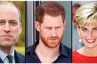Harry and William to Reunite to Honour Princess Diana