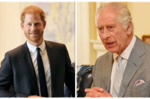 King Charles Steps Out as Prince Harry Lands in UK, but Reunion Plans Fall Through