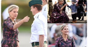 Royal Fans All Say the Same Thing as Duchess Sophie Sets an 'Example' with New Appearance