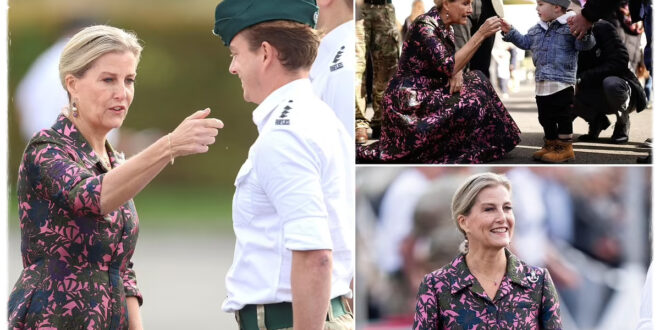 Royal Fans All Say the Same Thing as Duchess Sophie Sets an 'Example' with New Appearance