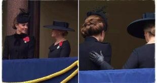 Duchess Sophie Comforts Princess Kate as She Stands In for Queen Camilla at Remembrance Event