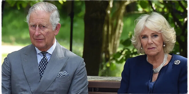 Queen Camilla Admits to Feeling 'So Nervous' at a Major Royal Occasion with King Charles