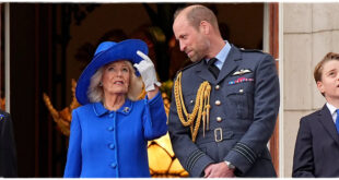 Affectionate Moment Between Prince William and Queen Camilla Captured at VE Day Commemoration