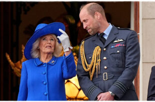 Affectionate Moment Between Prince William and Queen Camilla Captured at VE Day Commemoration