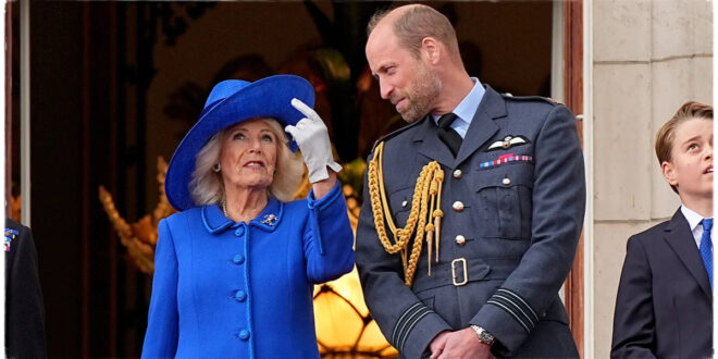 Affectionate Moment Between Prince William and Queen Camilla Captured at VE Day Commemoration