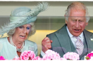 Royal First Ends in Disappointment as King Charles and Queen Camilla’s Gamble Fails to Pay Off