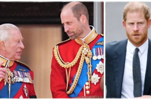 King Charles Sends Clear Message to Prince Harry as He Ushers In 'New Era' with Prince William