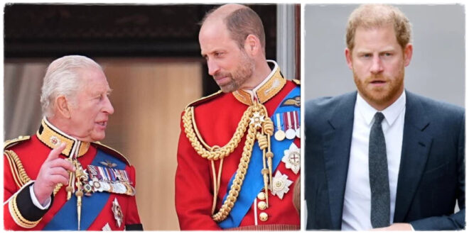 King Charles Sends Clear Message to Prince Harry as He Ushers In 'New Era' with Prince William