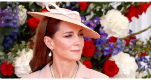 Kate Seen in Public Right Before State Banquet as Royal Attendance Questioned