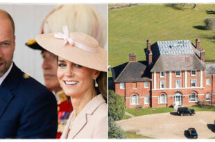 Princess Kate and Prince William’s £16M New Home Stuns with Guest Houses and 3 Stables