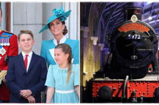 Prince Louis with Prince George and Princess Charlotte riding the Hogwarts Express on family night out