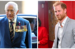 King Charles and Prince Harry looking distant amid claims they may never meet again