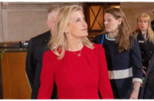 Duchess Sophie wearing a waist-cinching scarlet dress during a royal appearance