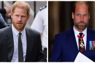 Prince William responding to reports about a meeting with Prince Harry following a Palace announcement