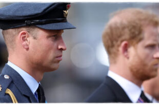 Prince Harry and Prince William amid renewed scrutiny over claims of a heated clash
