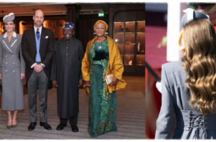 Princess Kate looking glamorous while attending the Nigerian State Visit in an official royal role