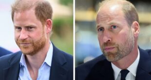 Prince Harry and Prince William during a public appearance amid reports of tension between the brothers