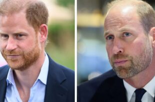 Prince Harry and Prince William during a public appearance amid reports of tension between the brothers
