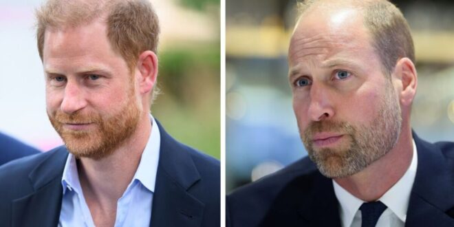 Prince Harry and Prince William during a public appearance amid reports of tension between the brothers