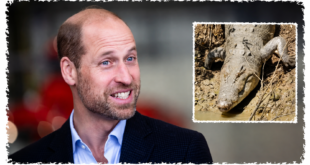 Prince William as Robert Irwin reveals a 12-foot saltwater crocodile has been named in his honour