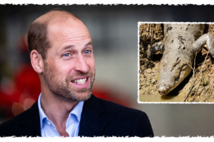 Prince William as Robert Irwin reveals a 12-foot saltwater crocodile has been named in his honour