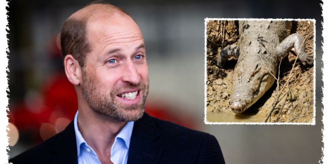 Prince William as Robert Irwin reveals a 12-foot saltwater crocodile has been named in his honour